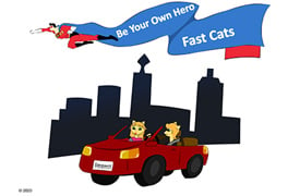 Fast Cats Story Book