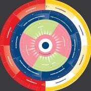 Wheel of Distraction – Large